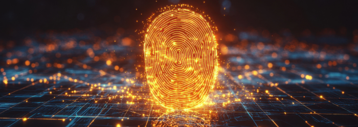 Cyber security course for small business