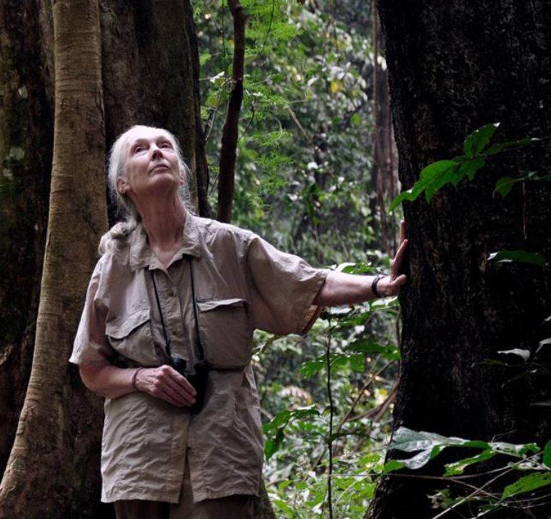 Dr Jane Goodall in Conversation