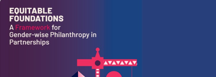 Advance Gender Equity Framework