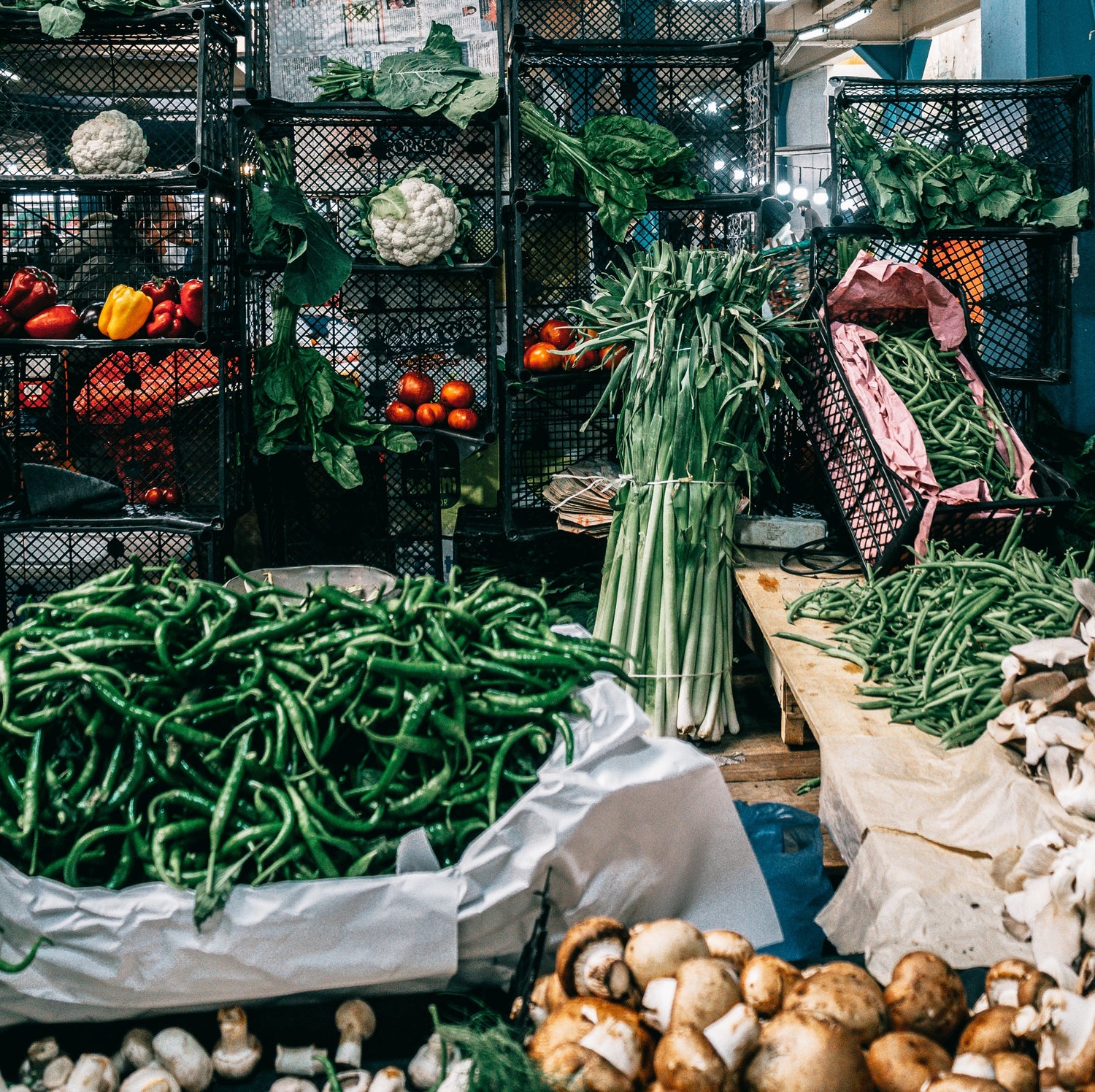 Food Connect needs a Warehouse & Logistics Coordinator