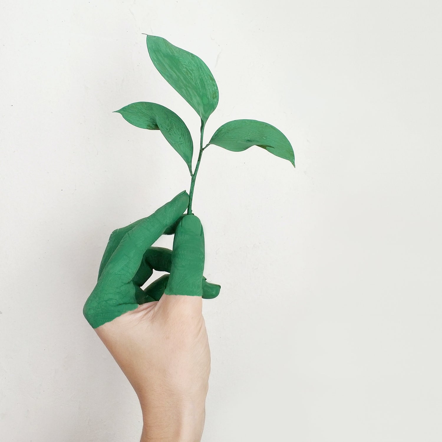 LUNA & JCN Present: Implementing Sustainability in Startups
