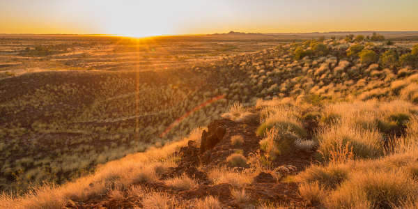 Regional Development Australia Committees (RDA) Grant Program