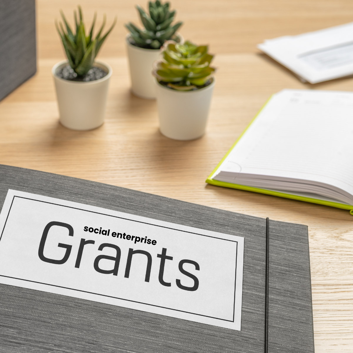 Social Enterprise Development Initiative (SEDI)