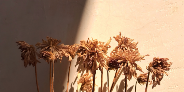 Stay Grounded Program: Expressions of Interest Now Open