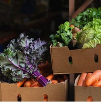 Food Connect: Drivers Needed