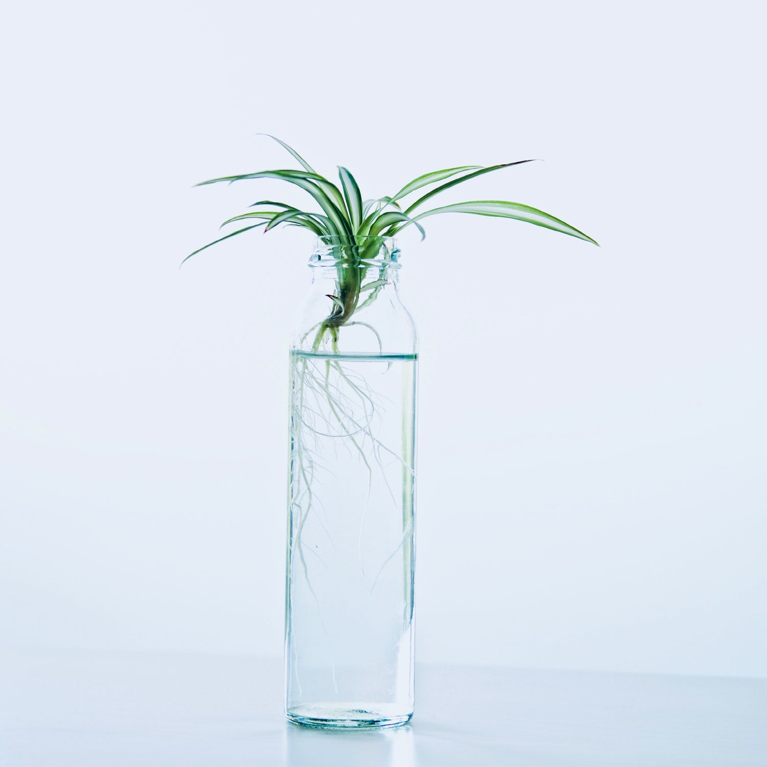 Grow your Client Base with these Lead Generation Tactics