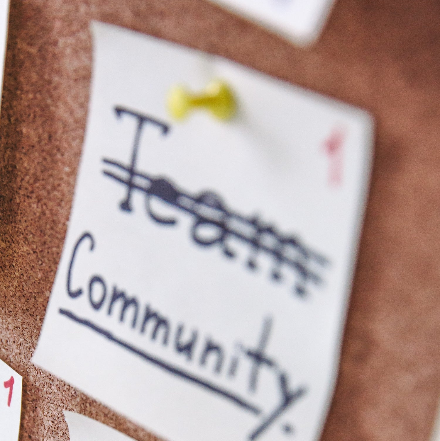 Community benefit fund: major community grants