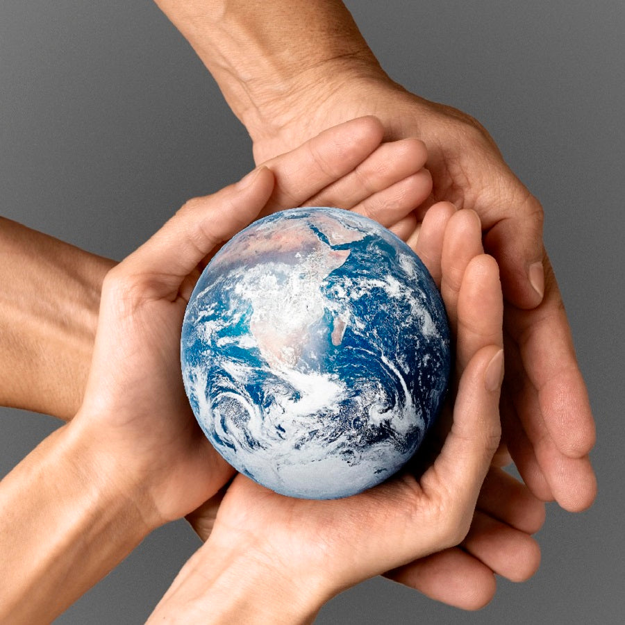 World Economic Forum Global Risks Report 2023