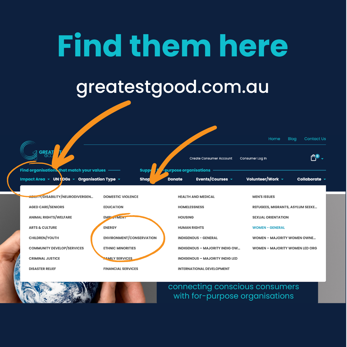 A screenshot of the 