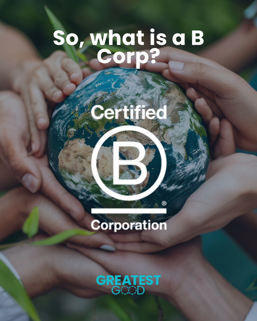 What_is_a_B_Corp