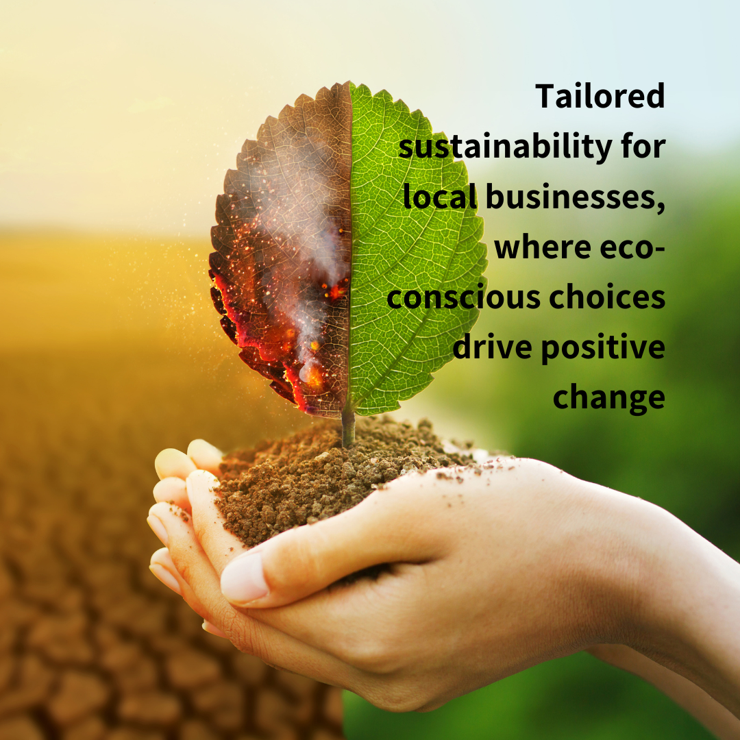 Supporting SMEs on their sustainability journey to B Corp Certification™
